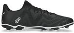 Puma Future Play FG/AG Nockenschuhe, schwarz, Gr&ouml;&szlig;e 39 4065452612412