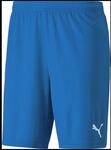 Puma teamGOAL 23 knit Herren Shorts, blau, Gr. S 4062451185190