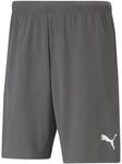 Puma TeamRISE Short Herren Shorts, grau 4063699212013