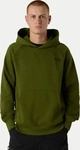 The North Face Sweatshirt Redbox NF0A89F9 Gr&uuml;n Regular Fit Herren