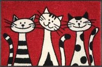 wash+dry Fu&szlig;matte, Three Cats 50x75 cm, innen und au&szlig;en, waschbar