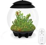 biOrb 72558 AIR 30 schwarz - Terrarium mit LED-Beleuchtung, Acryl-Becken zur