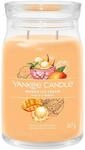 Yankee Candle Signature Duftkerze | gro&szlig;e Kerze mit langer Brenndauer &bdquo;Mango...