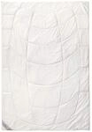 Kauffmann Home Wildseide Steppdecke, W&auml;rmeklasse: Leicht, 155 x 220 cm, 40&deg;