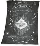 Herding Fleecedecke Harry Potter, 130 x 170 cm, 100% Polyester, Fleece