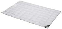 Spessarttraum Bettdecke WILDENTE, 135x200cm, Daunendecke, Sommerdecke...