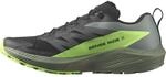 Salomon Sense Ride 5 GTX Trailrunningschuhe India Ink/Carbon/Dragon Fire UK
