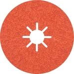 Bosch 25x EXPERT R782 Prisma Ceramic Fiberscheiben, 180 mm (f&uuml;r Stahl,