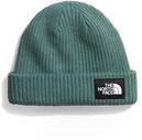 The North Face NF0A3FJWI0F1 Salty Lined Beanie Hat Herren Dark SAGE Gr&ouml;&szlig;e OS