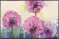 wash+dry Fu&szlig;matte, Alium 50x75 cm, innen und au&szlig;en, waschbar