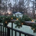 Best Season LED Weihnachtsgirlande Calgary von Star Trading, Girlande...