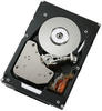 Festplatte - 900 GB - Hot-Swap - 2.5" - SAS-2-10000 RPM