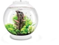 biOrb CLASSIC 30 LED blanc
