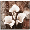 ARTland Leinwandbilder Wandbild Bild auf Leinwand 50 x 50 cm Blumen Calla...