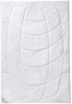 Kauffmann Home Kamelhaar Steppdecke, Steppbett Mono, W&auml;rmeklasse: Warm, 155 x 220