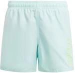 adidas Jungen Sportswear Essentials Logo Clx Badeshorts Kinder Einteiler...