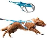 Freemotion Harness 5.0 Parent Listing (Blue/Gray, 5)