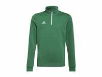 adidas Unisex Kinder ent22 tr topy Sweatshirt, Team Green/White, 13-14 Jahre EU