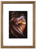 Holzrahmen Phoenix, dunkle Eiche, 20 x 30 cm