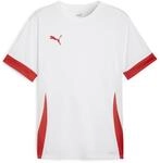 PUMA teamGOAL Matchday Jersey