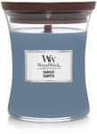WoodWick - Tempest Medium Candle