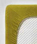fleuresse Comfort Spannbettlaken (96 % Baumwolle, 4 % Elasthan), mit...
