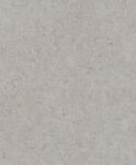 Rasch Tapeten 520866 - Graue Vliestapete mit Betonoptik aus der Kollektion Concrete -