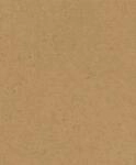 Rasch Tapeten 520897 - Braune Vliestapete mit Betonoptik aus der Kollektion...