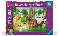 Ravensburger Puzzle Lissy und Arcado auf der Koppel - 300 XXL Teile | 300 XXL Teile