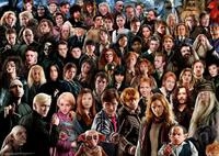 Ravensburger Puzzle Challenge Harry Potter - 1000 Teile Puzzle | 1000 Teile Harry