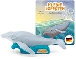 tonies H&ouml;rfigur f&uuml;r Toniebox, KLE!NE Experten tauchen mit Walen, H&ouml;rspiel mit