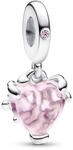 Pandora Moments Charms Familie