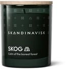 Skandinavisk SKOG 'Wald' Duftkerze, Sonderedition, Duftnoten: Kiefernnadeln und