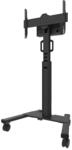 Neomounts FL50S-825BL1 Floor Stand Black