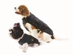 Fashion Dog Regenmantel f&uuml;r Hunde - Schwarz - 39 cm