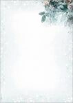 SIGEL Weihnachtsbriefpapier Eucalyptus Magic A4 100 Blatt