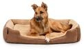lionto Hundebett mit Wendekissen, Hundek&ouml;rbchen, 90 x 70 cm, Braun/Beige | Robustes