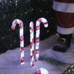 LED Zuckerstangen - je 30 kaltwei&szlig;e LED - H: 61cm - inkl. Trafo - f&uuml;r Au&szlig;en...