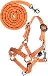 HKM Kinder Hobby Horsing Basic Halfter und Strick, Orange, One Size