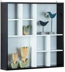 Inter Link - Setzkasten - Sammlerkasten - Vitrine - Sammlervitrine - Vitrine ohne