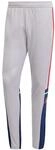 adidas Herren SQUADRA25 Training Pant, Glory Grey/Team Navy Blue 2 / Pure Ruby,...