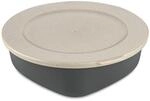 Koziol ideas for friends GmbH CONNECT BOX 1,3 Box mit Deckel 1,3l nature ash...