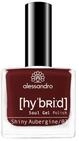 alessandro HYBRID Lack Shiny Aubergine -dunkles Purpurrot - In nur 3 Schritten -