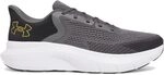 Under Armour Charged Rogue 5 Herrenschuhe 3028256-025 3028256-025 Grau, EU 44