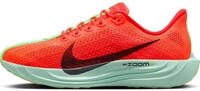 Nike Pegasus Plus Stra&szlig;enlaufschuh f&uuml;r Herren, FQ7262