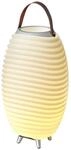 Kooduu Synergy 50 - Bluetooth Lautsprecher mit Lampe - Weink&uuml;hler-Funktion