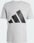 adidas Herren Essentials Big Logo Single Jersey Tee T-Shirt | Regul&auml;re Passform,