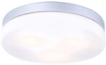 Globo Deckenleuchte Alu Glas opal, 3 x 40 W, E27, IP44, &oslash; 30 cm 32113