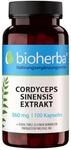 Cordyceps Kapseln &ndash; 100 St&uuml;ck 1440 mg Cordyceps sinensis Extrakt pro Tag mit