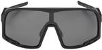 CHPO Brand Henrik recycled plastic polarized sunglasses UV400